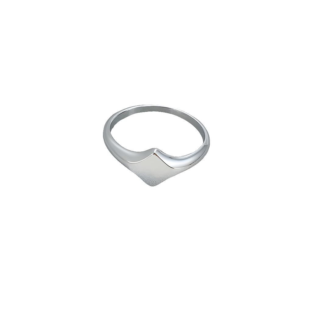 Elegant stainless steel signet ring