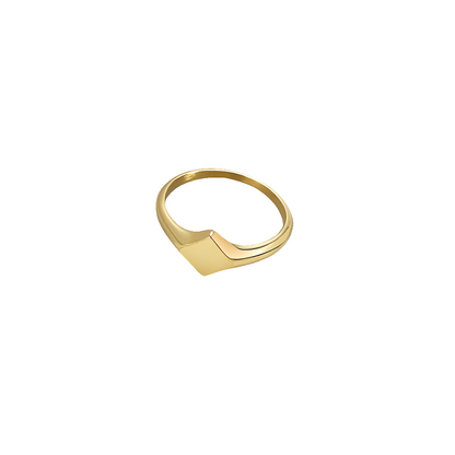 Elegant stainless steel signet ring